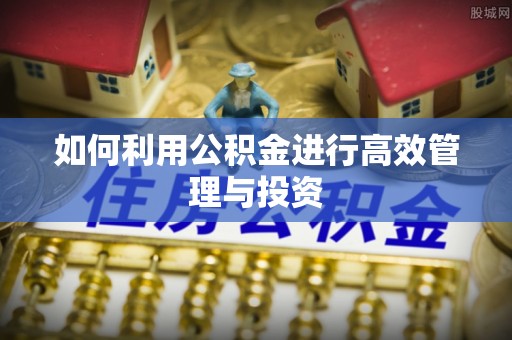 宜兰如何利用公积金进行高效管理与投资