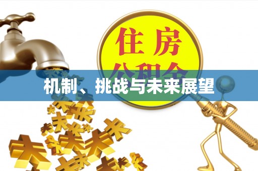 宜兰机制、挑战与未来展望